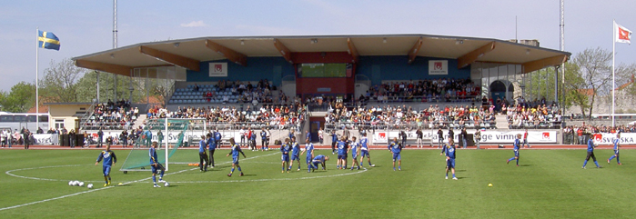 Gutavallen with the Swedish World Cup team.