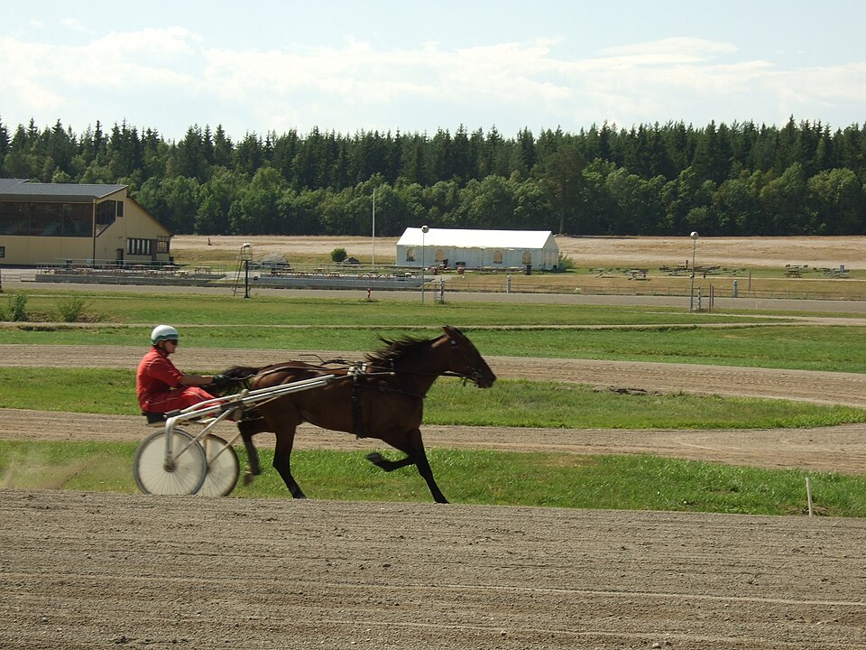 Sulky with horse and driver at the harness racing venue "Hagmyren" outside Hudiksvall in Sweden, viewed from north