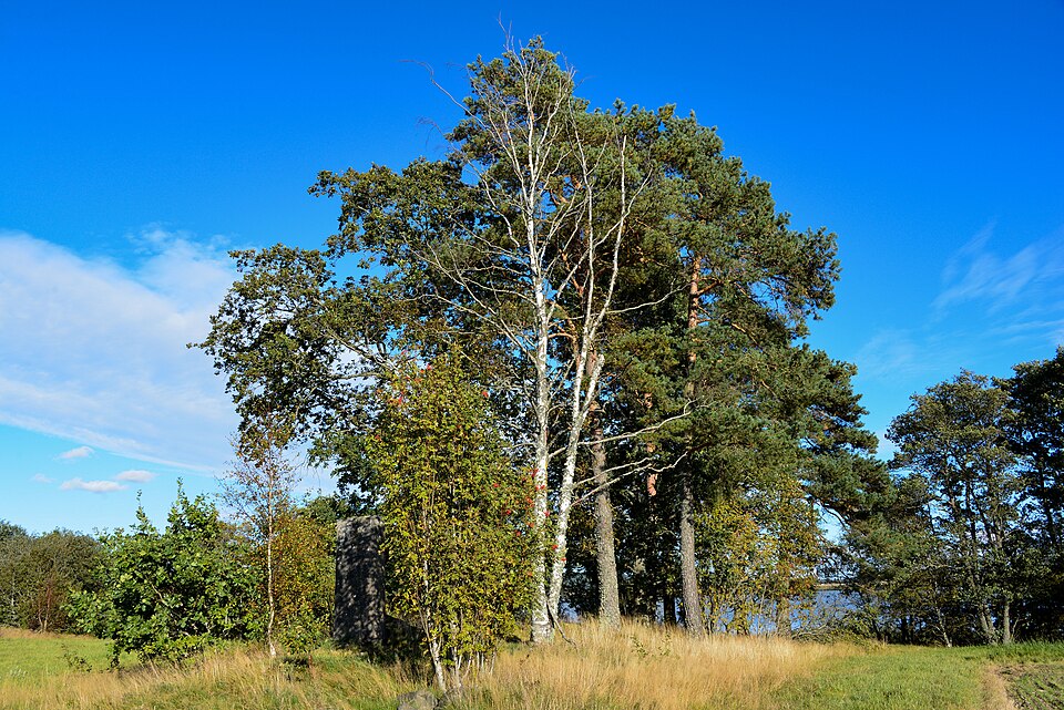 This is a picture of an archaeological site or a monument in Sweden, number 1f5af44c-2285-4a62-9dc6-320aba29ce5c in the RAÄ Fornsök database.