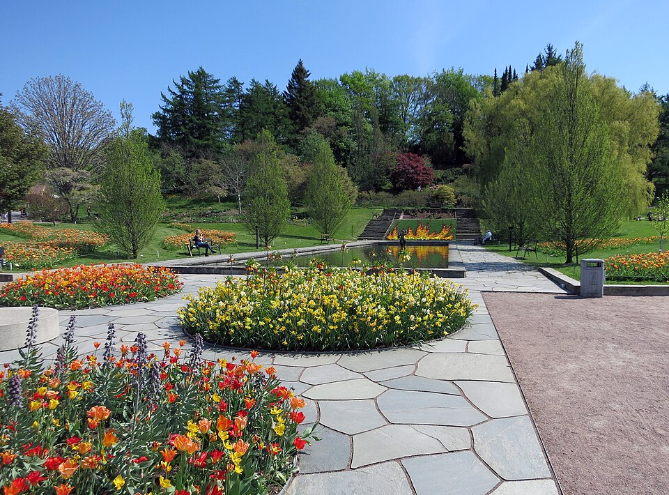 Göteborgs Botaniska Trädgård. Spegeldammen med tema Vild vår 2016.