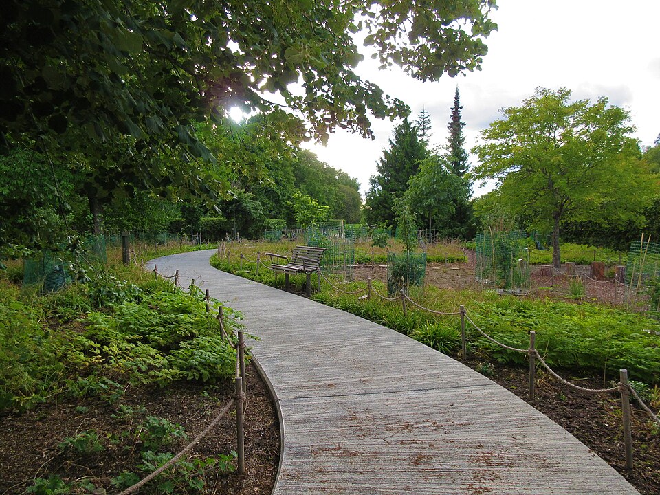 Åkeshovs arboretum i Bromma, Stockholm, avdelning F. Barrskogen.