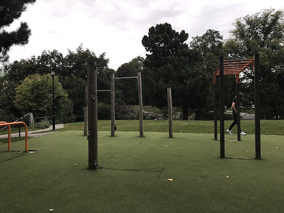 Vasaparkens, outdoor gym