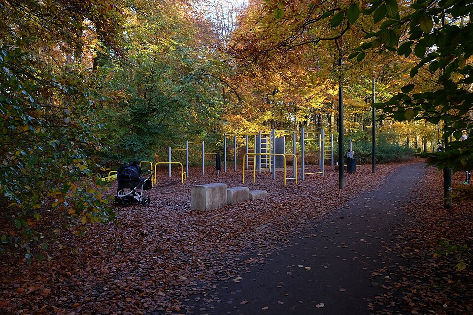 Skogens utegym i Pildammsparken i Malmö, Sverige, eftermiddagen 2017-11-07.
