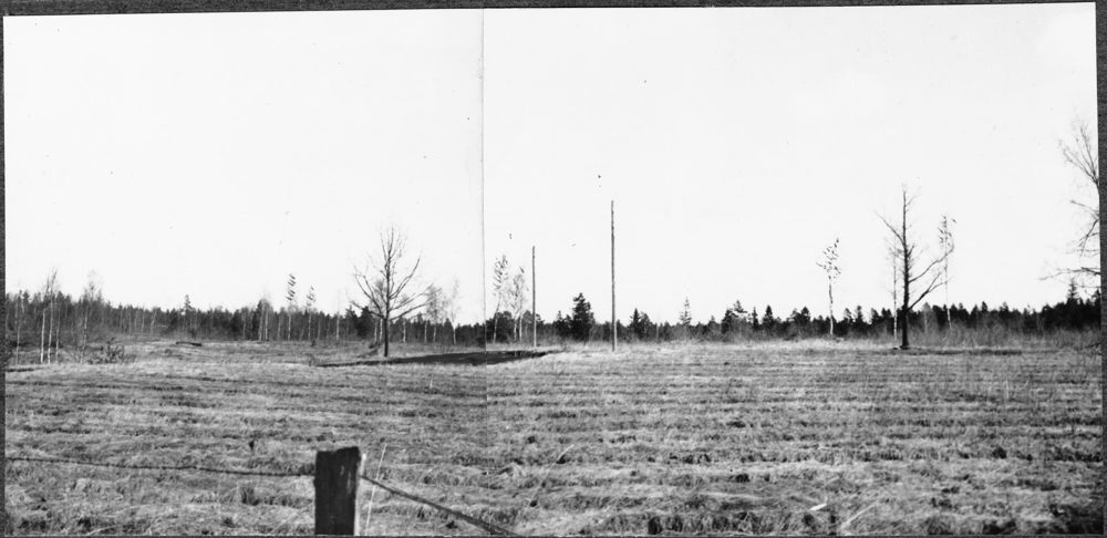 Ryds kyrkoruin 1955